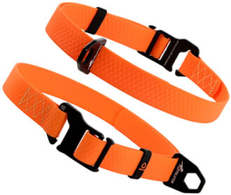 colorOrange