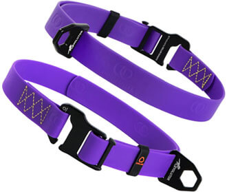colorViolet